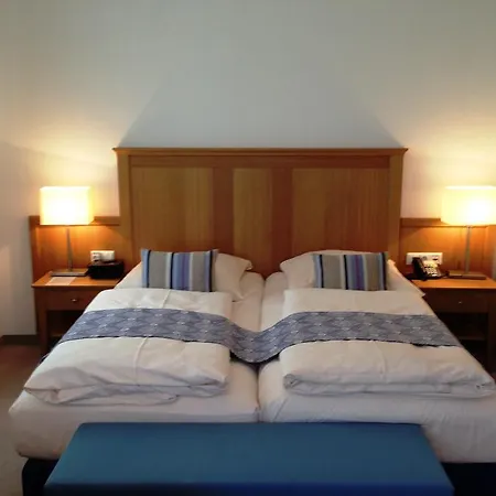 酒店 法兰肯巴赫酒店